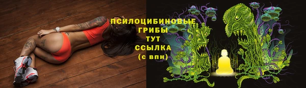 экстази Лиски