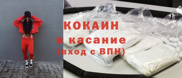 индика Майский