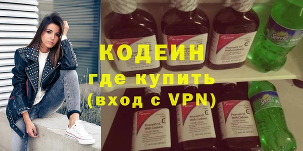 индика Майский