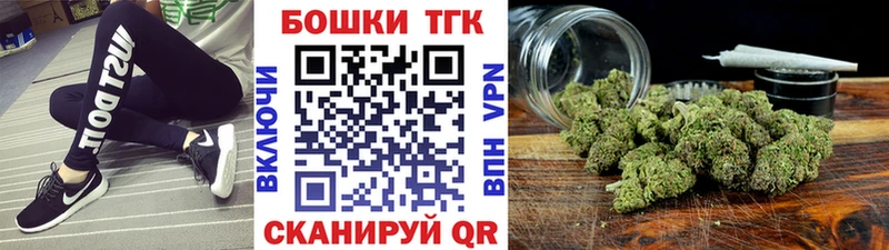 Конопля гибрид  Комсомольск 